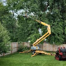 Best Lawn Maintenance Plans  in Anchorage, KY