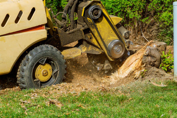 Soil Testing and Treatment in Anchorage, KY