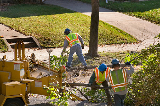 Best Seasonal Cleanup (Spring/Fall)  in Anchorage, KY